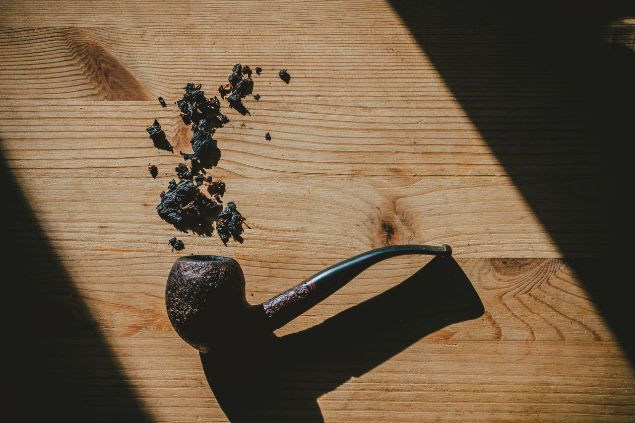 Photo portrait automne